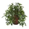 Stephanotis And Ivy Artificial Plant In Decorative Planter 2 Stephanotis And Ivy Artificial Plant In Decorative Planter -Artificial Flowers Sale artificial stephanotis and ivy artificial plant in decorative planter nearly natural 372005