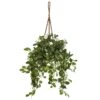 Stephanotis In Hanging Basket -Artificial Flowers Sale artificial stephanotis in hanging basket nearly natural 689197