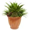 Succulent Garden Artificial Plant In Terra Cotta Planter -Artificial Flowers Sale artificial succulent garden artificial plant in terra cotta planter nearly natural 514028
