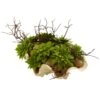 Succulent Garden W/Seashell -Artificial Flowers Sale artificial succulent garden wseashell nearly natural 426624