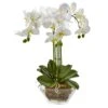 Triple Phalaenopsis Orchid In Glass Vase 1 Triple Phalaenopsis Orchid In Glass Vase -Artificial Flowers Sale artificial triple phalaenopsis orchid in glass vase nearly natural 969650