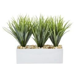 Vanilla Grass In Rectangular Planter