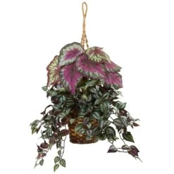 Wandering Jew And Begonia Hanging Basket