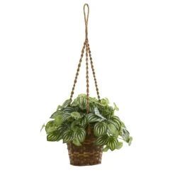 Watermelon Peperomia Artificial Plant In Hanging Basket (Real Touch)